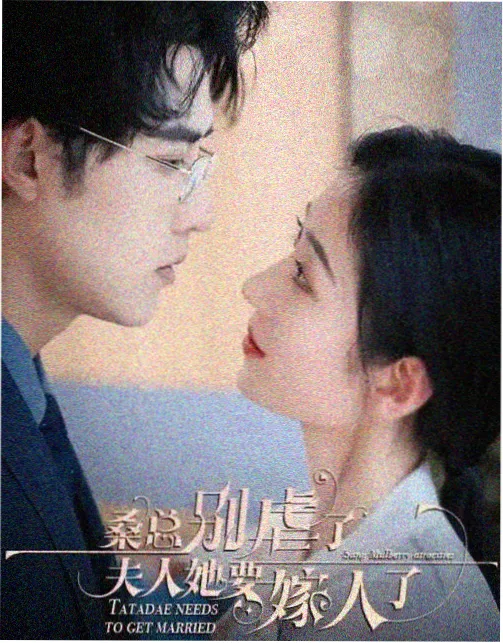 无声证词 刑侦悬疑连续剧封面